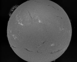 @Oct2025 Sun FD in H-alpha