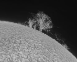 @Oct2025 Very large filiprom