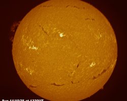 @Oct2025 Sun FD in H-alpha